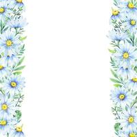 Blumen- Gänseblümchen Grenze, Aquarell Illustration. Weiß Gänseblümchen. Blumen- botanisch Blume. Rahmen Rand Ornament vektor