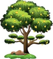 Zitronenbaum im Karikaturstil lokalisiert auf weißem Hintergrund vektor