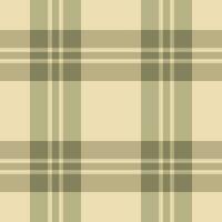 Textur Plaid Vektor von Stoff prüfen Tartan mit ein Hintergrund Muster nahtlos Textil.