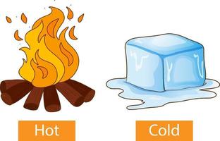 entgegengesetzte Adjektive Wörter mit heiß und kalt vektor