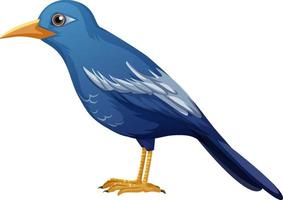 blaues Vogeltier auf weißem Hintergrund vektor