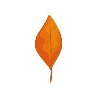 Saison Herbstblatt isolierte Symbol vektor