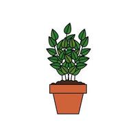 Pflanze im Haustopf isolierte Symbol vektor
