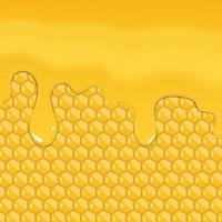 Honig tropft isoliert auf Waben, Vektorillustration