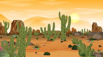 öken skog landskap vid solnedgången tid scen med många kaktusar vektor