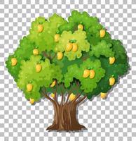 mangoträd isolerad vektor