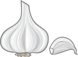 Knoblauch-Gemüse-Symbol vektor