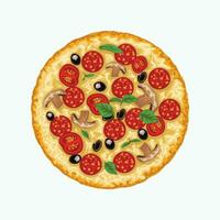 pizza isolerad på vitt vektor