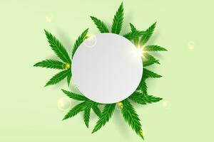 realistisk grön cannabis blad läkemedel marijuana ört bakgrund.kreativ naturlig marijuana cannabis.medicinsk organisk grön växt tapet i webbsida.mall ram dekorerad cirkel.vektor illustration. vektor