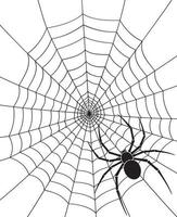 Spinne und Netz vektor