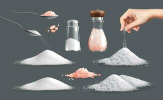 Salz- Haufen realistisch einstellen vektor