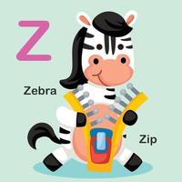 Abbildung isoliert Tier Alphabet Buchstaben z-zip, Zebra vektor