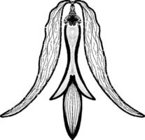 ein schwarz und Weiß Zeichnung von ein geflügelt Engel vektor
