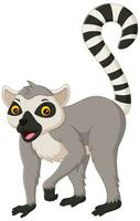 söt lemur tecknad serie isolerat på vit bakgrund. vektor illustration