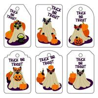 uppsättning av ljus taggar för halloween med söt katter i kostymer, vertikal. illustration av hälsning kort för utskrift. ljus design för halloween i traditionell färger. samling på en vit gåva etiketter vektor