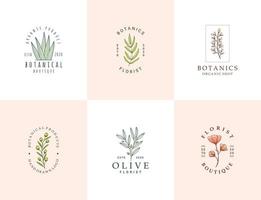handritad botanisk logosamling vektor