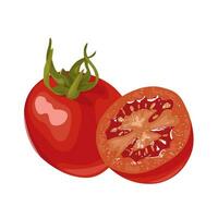 vektor illustration, hela och halverad körsbär tomater, isolerat på vit bakgrund.