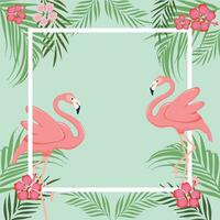 fåglar flamingo och blommor. ramar med flamingo. flamingo bakgrund vektor