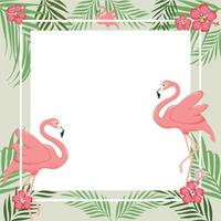 Vögel Flamingo und Blumen. Frames mit Flamingo. Flamingo Hintergrund vektor