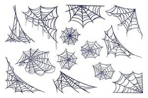 Spinne Netz Sammlung vektor