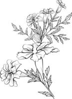 Ringelblume Mauer drucken, Ringelblume Mauer Dekor, Ringelblumen Blume kostenlos druckbar Färbung Blatt, Ringelblume Blume Zeichnung einfach zum Kinder, Ringelblume Blume Strauß Zeichnungen botanisch Illustration vektor