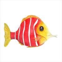 Hand gemalt Aquarell Illustration von bunt Fisch. perfekt zum Hintergrund, drucken, Baby Textil, Kindergarten, Scrapbooking, Postkarten, Kleidung. Karikatur Stil. vektor