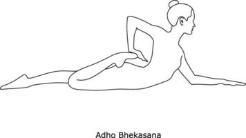 flicka håller på med yoga. asana adho bhekasana. linje konst i skiss stil isolerat på vit bakgrund vektor