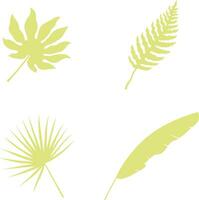 Hand gezeichnet exotisch Palme Blätter. Palme Blatt, Kokosnuss Blatt, Banane Blätter, usw. Vektor Illustration Satz.