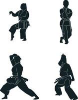 Karate Kämpfer Silhouette mit eben Design. Vektor Illustration Satz.
