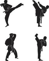 Karate Kämpfer im anders Pose. isoliert Vektor Satz.