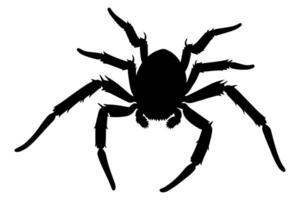 skrämmande Spindel silhuett. vektor illustration