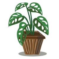 monstera på kruka vektor