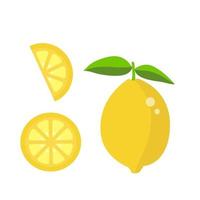 gelbe Zitrone und Scheibe isoliert auf weiß vektor