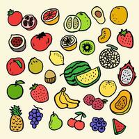 gesund Essen Konzept. bunt groß Sammlung mit Früchte und Gemüse. vektor