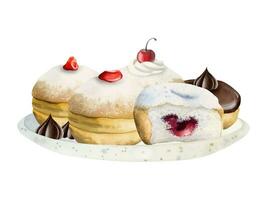 Aquarell köstlich Donuts mit Zucker Pulver, Marmelade und Schokolade auf Weiß Platte. Chanukka Vektor Illustration
