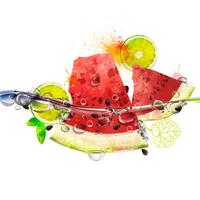 Vector saftige Früchte im Wasser, Wassermelone, Kalk und spritzt Wasser mit Blasen, reichen hellen Farben, Aquarell