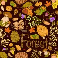 Sömlös färg vilda element i naturen, svamp, knoppar, växter, ekollon, löv. vektor