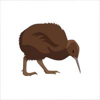 kiwi platt färg clip art design vektor