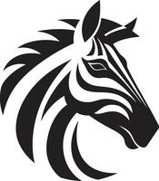 Nächte gestreift Gelassenheit Insignien beschattet Zebras Regal Anmut vektor