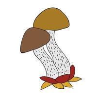Cartoon-Pilz für Herbstdesign. Wald vektor