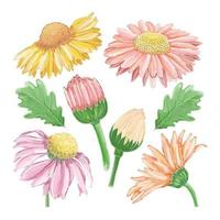 uppsättning akvarellmålade vinterblomma clipart. ritad för hand vektor