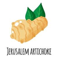 Jerusalem Superfood-Wurzel für Vorlagenbauernmarkt, Etikett, Verpackung. vektor