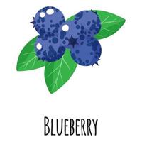 Blaubeer-Superfood-Frucht für Vorlagenbauernmarkt, Etikett, Verpackung. vektor