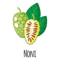 noni superfood frukt för mall bonde marknaden, etikett, förpackning. vektor