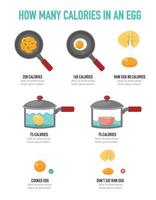 hur många kalorier i ett ägg infographic, vektor illustration