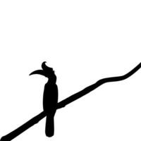 großartig Horn Vogel Silhouette thront auf das Ast Baum Silhouette. Vektor Illustration