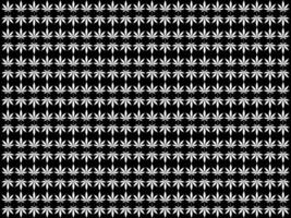 cannabis också känd som marijuana blad silhuett motiv mönster, kan använda sig av för dekoration, utsmyckad, tapet, bakgrund, textil. mode, tyg, bricka, golv, omslag, omslag, ect. vektor illustration