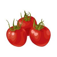 Vektor Illustration, Kirsche Tomaten, isoliert auf Weiß Hintergrund.
