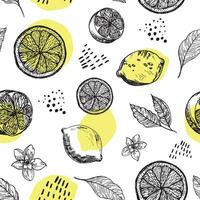 Grafik Muster mit Zitronen, Zitrone Scheiben mit Blumen. nahtlos Muster mit Sommer- Zitronen, handgemalt im Tinte. Gelb Zitronen nahtlos Hintergrund vektor