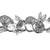 sömlös gräns med citroner. och citrus- citroner linje konst grafik. citron- skivor med grenar och blommor svart bläck grafik vektor
